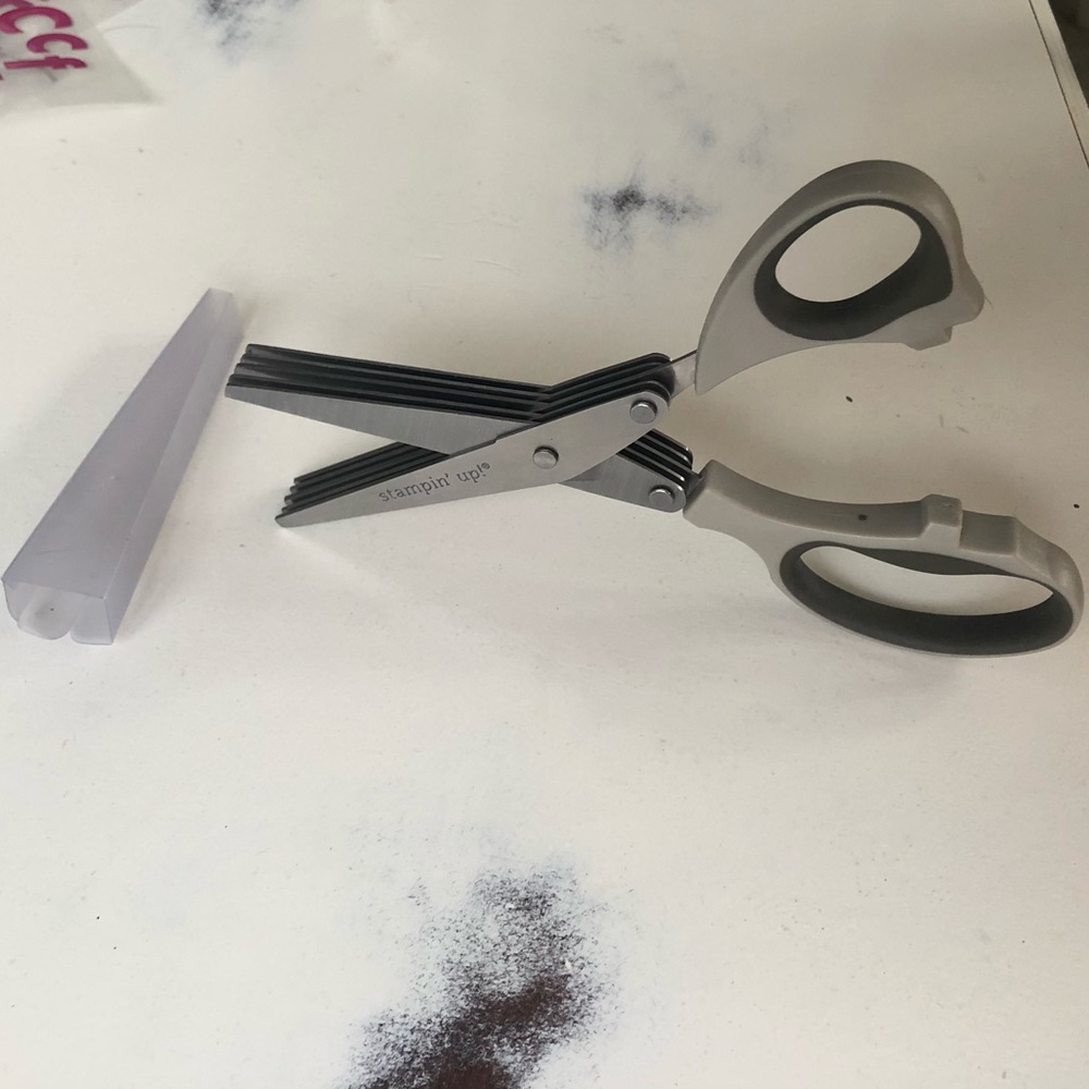 Stampin Up! Fringe scissors